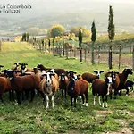 Agriturismo La Colombaia Agroturismo Vicchio