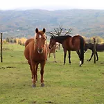Agriturismo La Colombaia Agroturismo