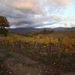 Agroturismo Agriturismo La Colombaia Vicchio