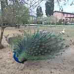Agriturismo La Colombaia Agroturismo Vicchio