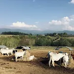 Agroturismo Agriturismo La Colombaia Vicchio